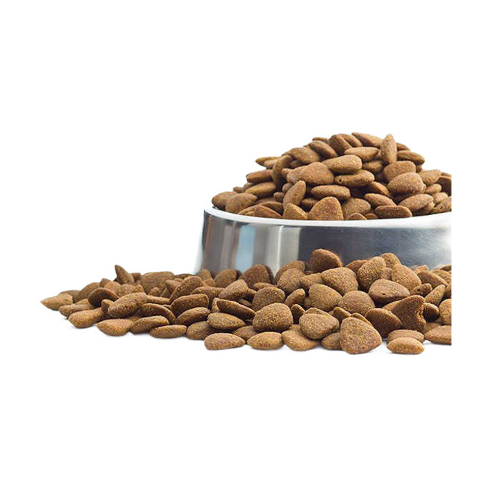 Royal Canin Sensible Hassas Sindirim Sistemi Açık Yetişkin Kedi Maması