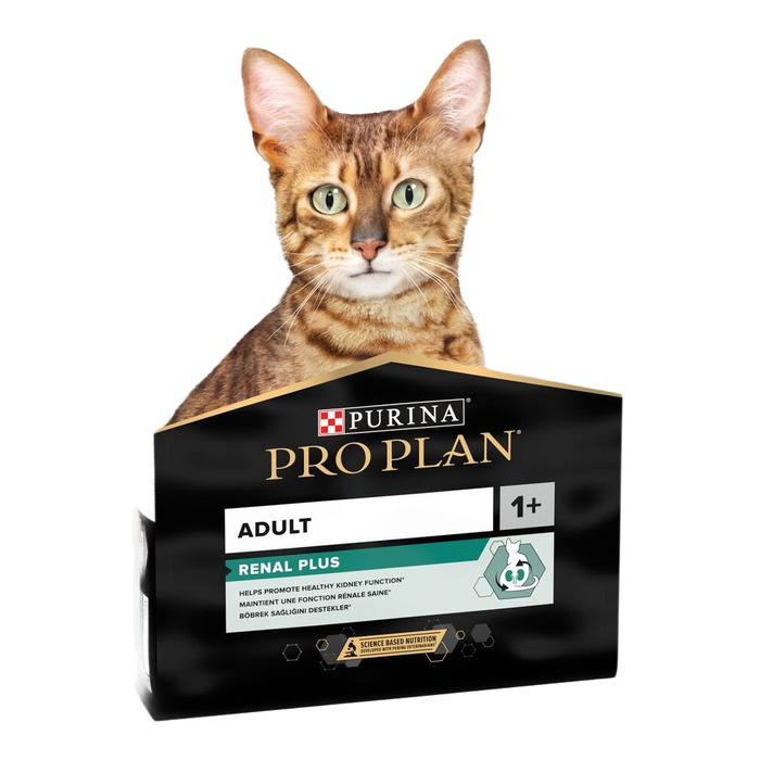 Proplan Somonlu Yetişkin Açık Kedi Maması