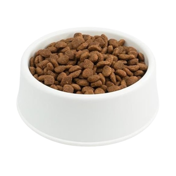 Universal Somonlu Kedi Maması Açık
