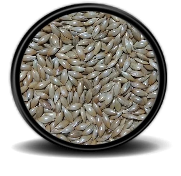 Bilinmiyor Açık Kanarya Yemi 500 Gr